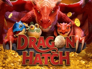 223BET PIX instantâneo Brasil - Depósito e saque em minutos 24/7